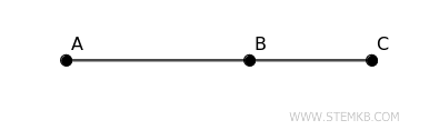 example of adjacent segments