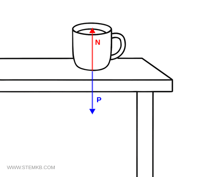 Diagram showing a cup in static equilibrium on a table: weight and normal force cancel out