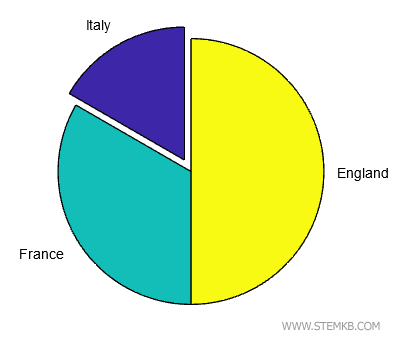 The pie chart with labels