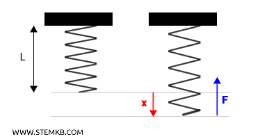 example of elastic force