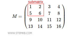 the 2x2 square submatrix