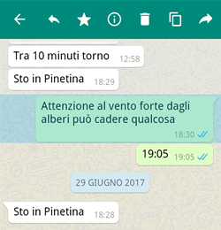 how to copy and paste messages on whatsapp