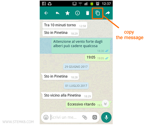 push on the copy icon 