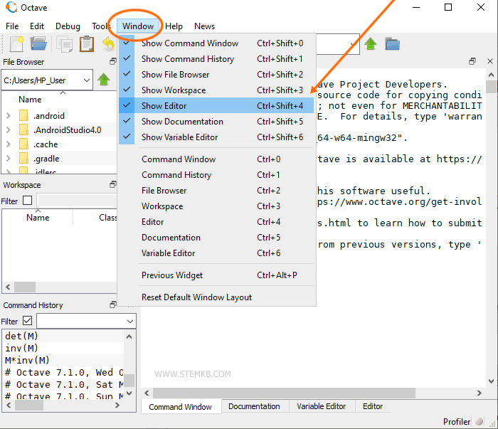 how to show the editor
