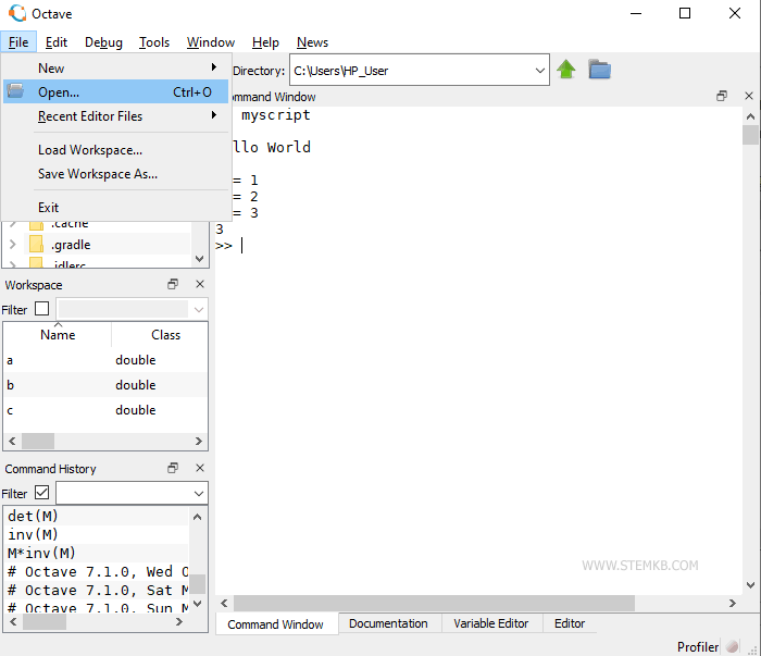 how to open a script