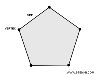 example of polygons