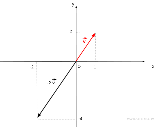 Graphical representation of multiplication by a negative scalar