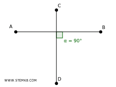 example of perpendicular segments