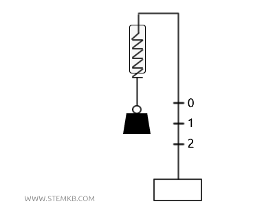 example of a dynamometer