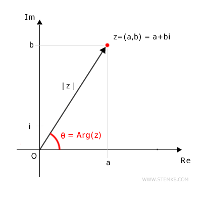 the argument of a complex number